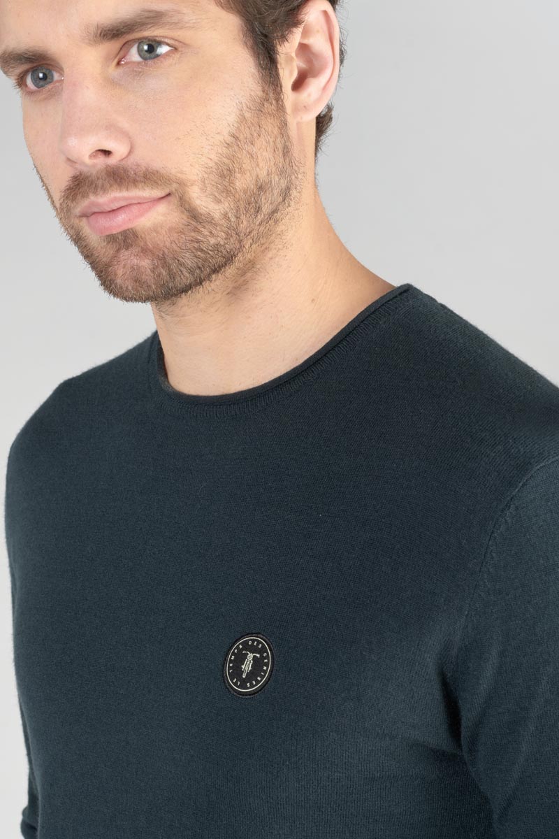 Pullover Terry in grün
