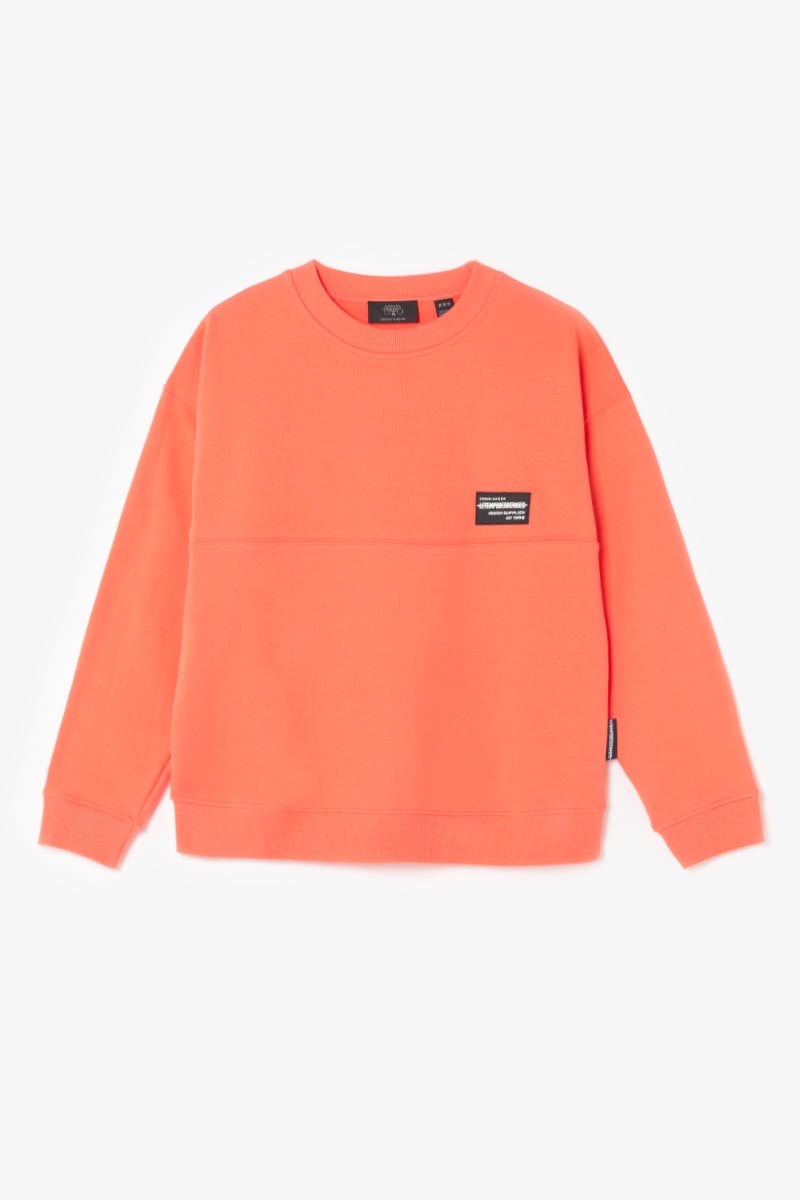 Sweatshirt Hibibo in Koralle