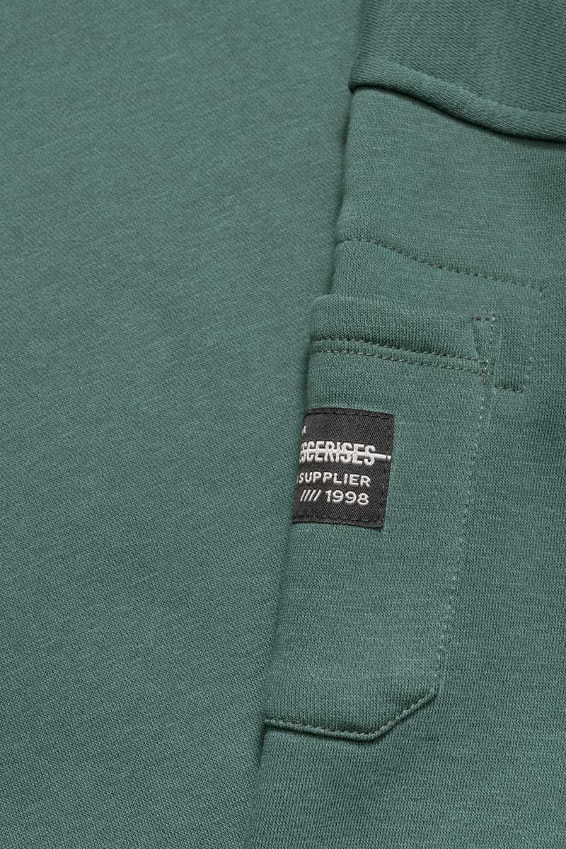 Sweatshirt Leonbo in grün