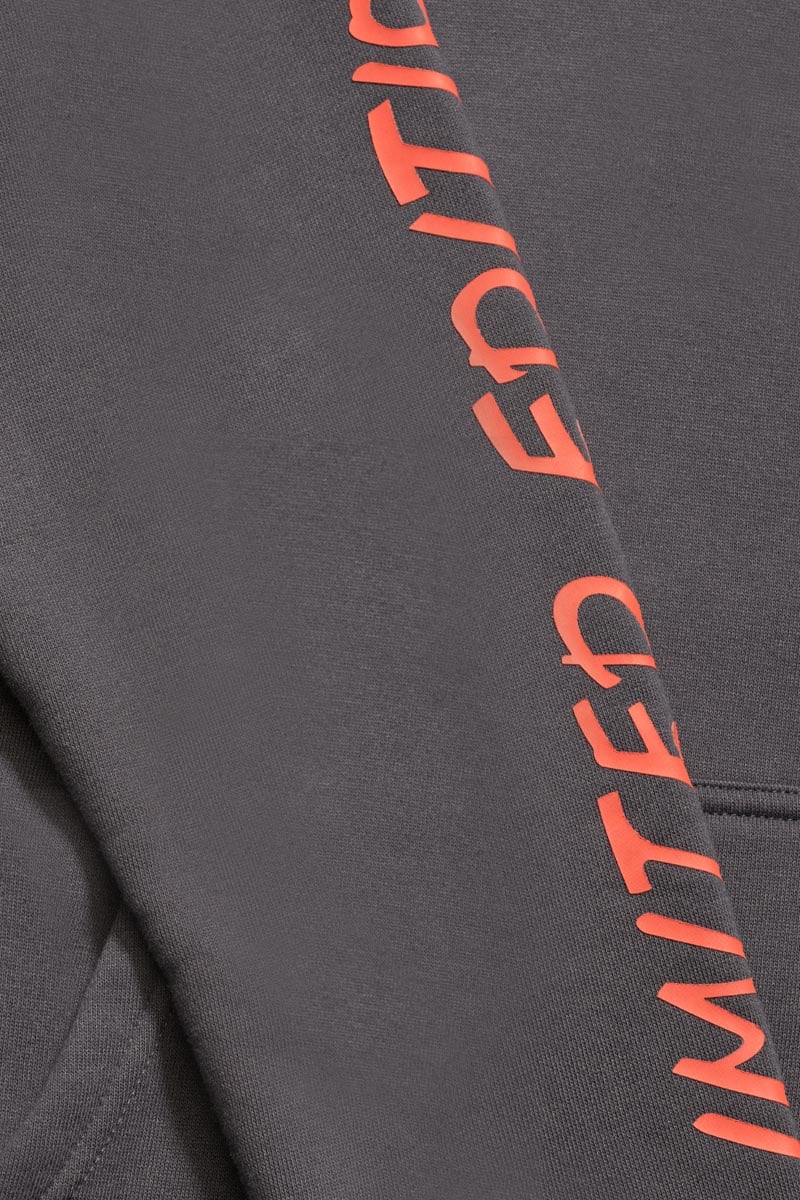 Kapuzen-sweatshirt Noebo in grau