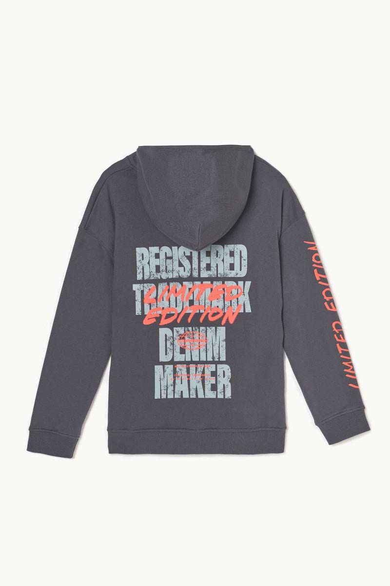 Kapuzen-sweatshirt Noebo in grau