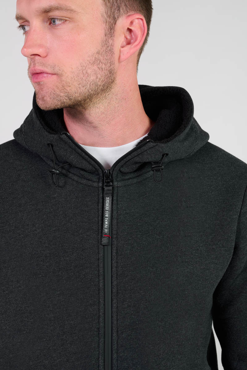 Kapuzen-sweatshirt Disal in grau