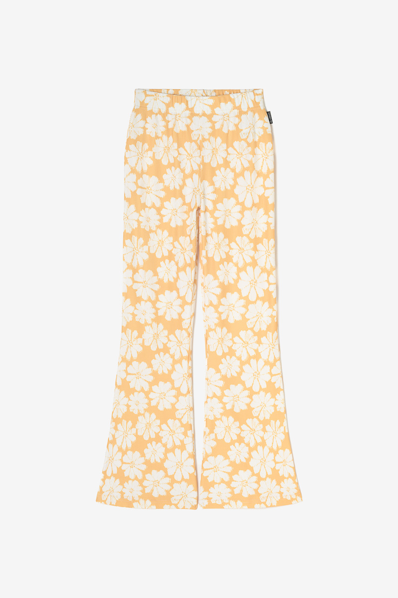 Hose Archigi