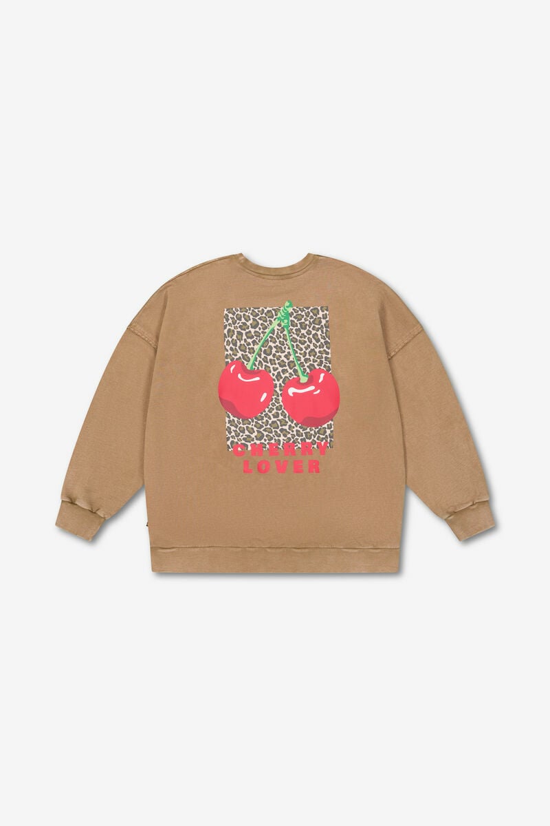 Sweatshirt Mery in braun