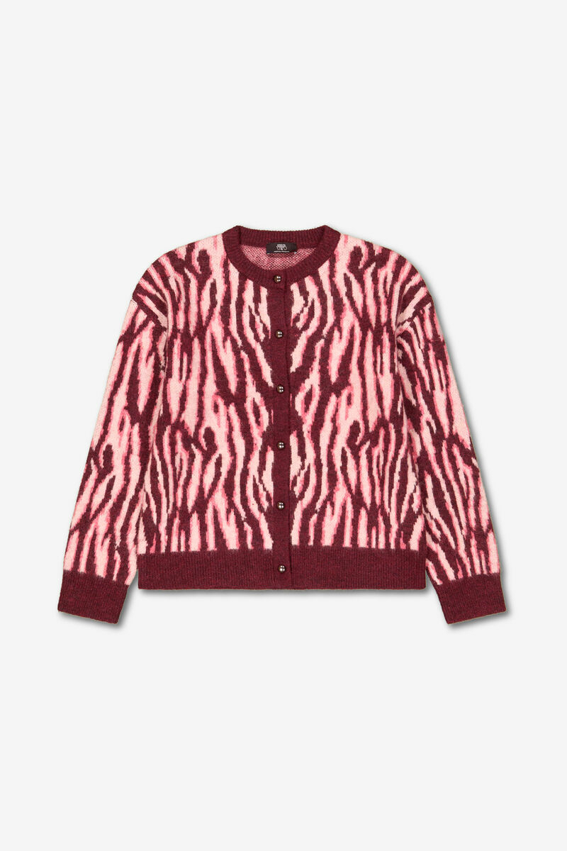 Cardigan Zebry