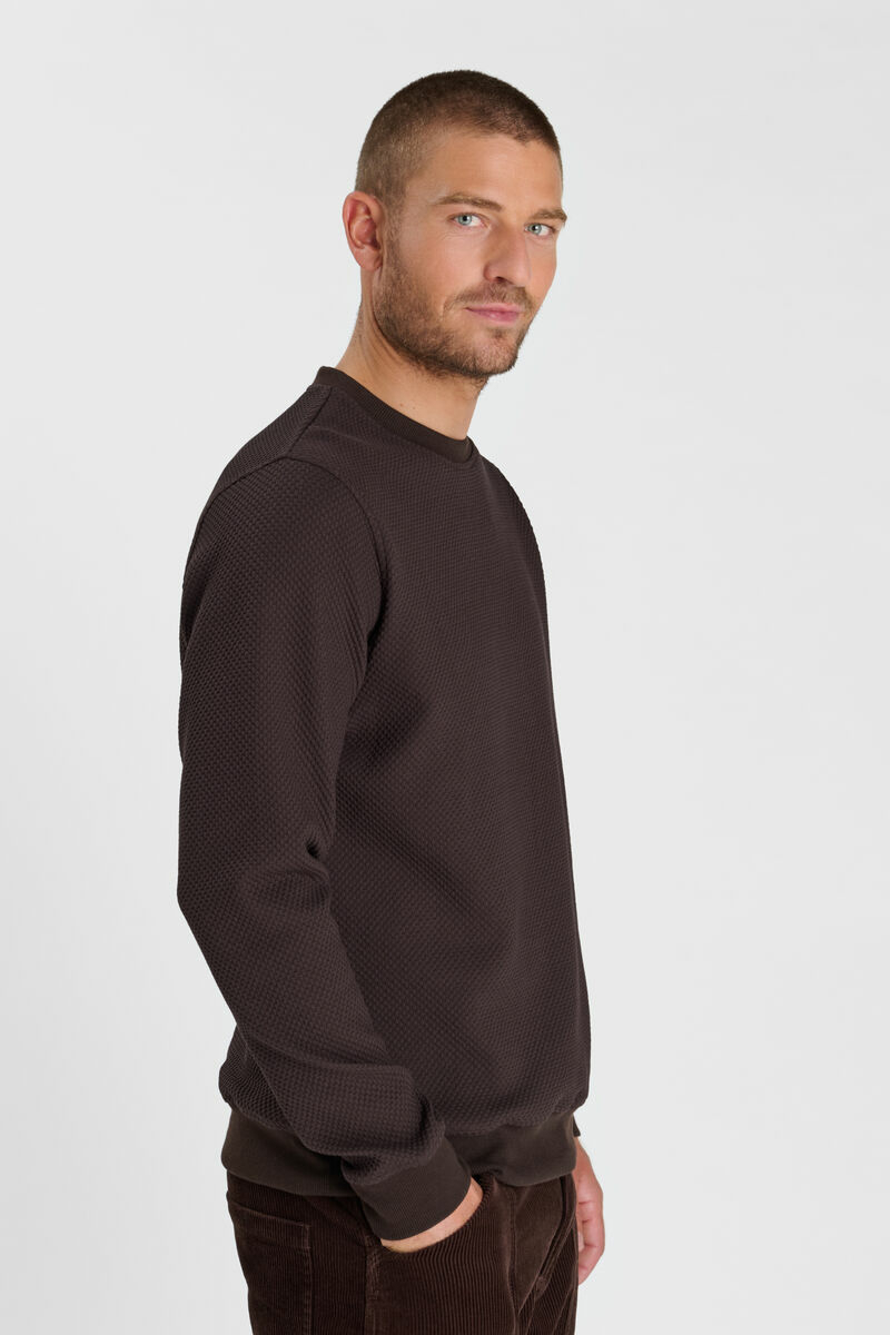 Sweatshirt Cyro