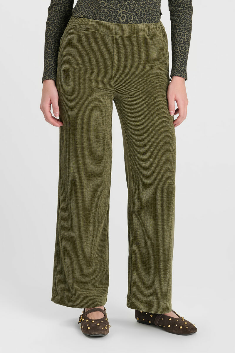 Hose Margegi