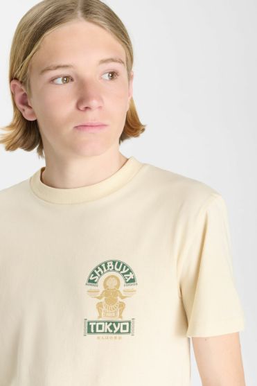 T-shirt Roglicbo in grau