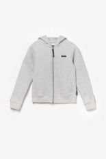 ASH GREY