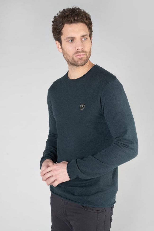 Pullover Terry in grün