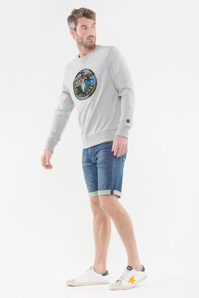 Sweatshirt Charly in grau