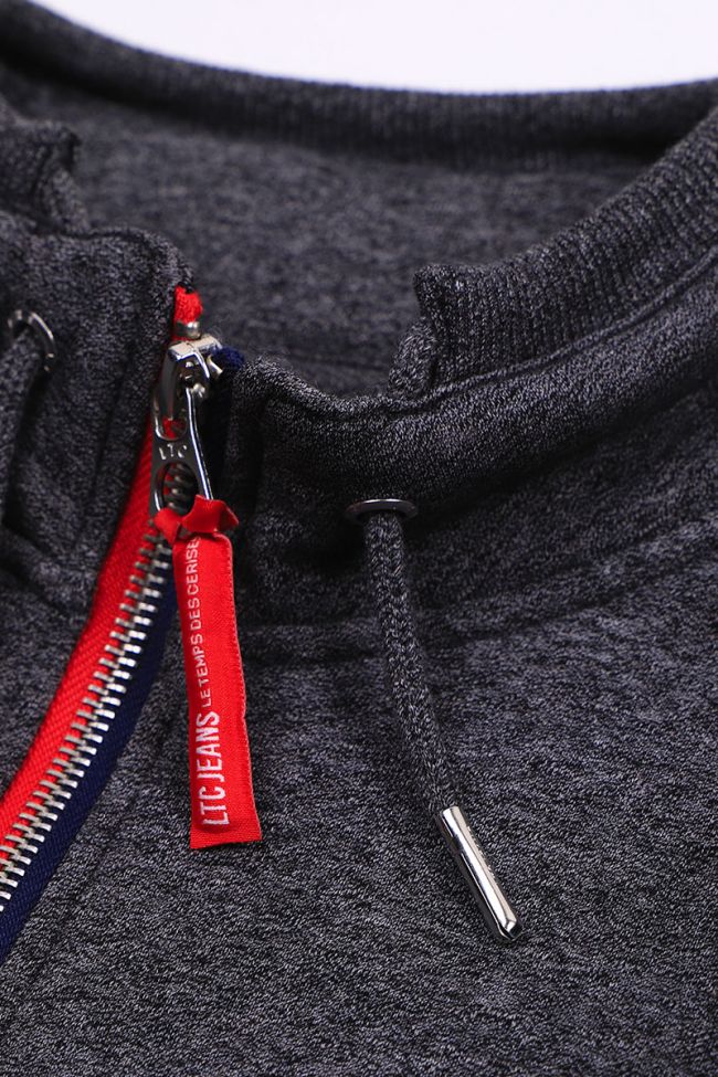 Sweatshirt Golbo in grau