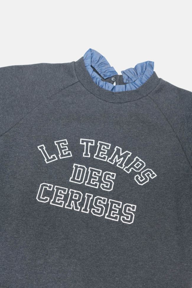 Sweatshirt Chapigi in grau