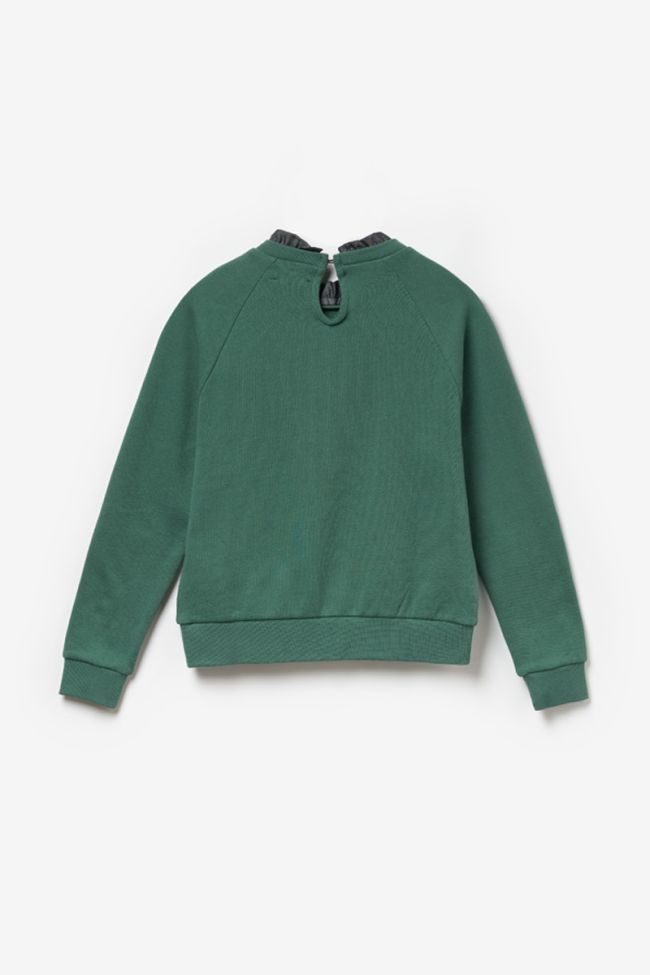 Sweatshirt Chapigi in grün