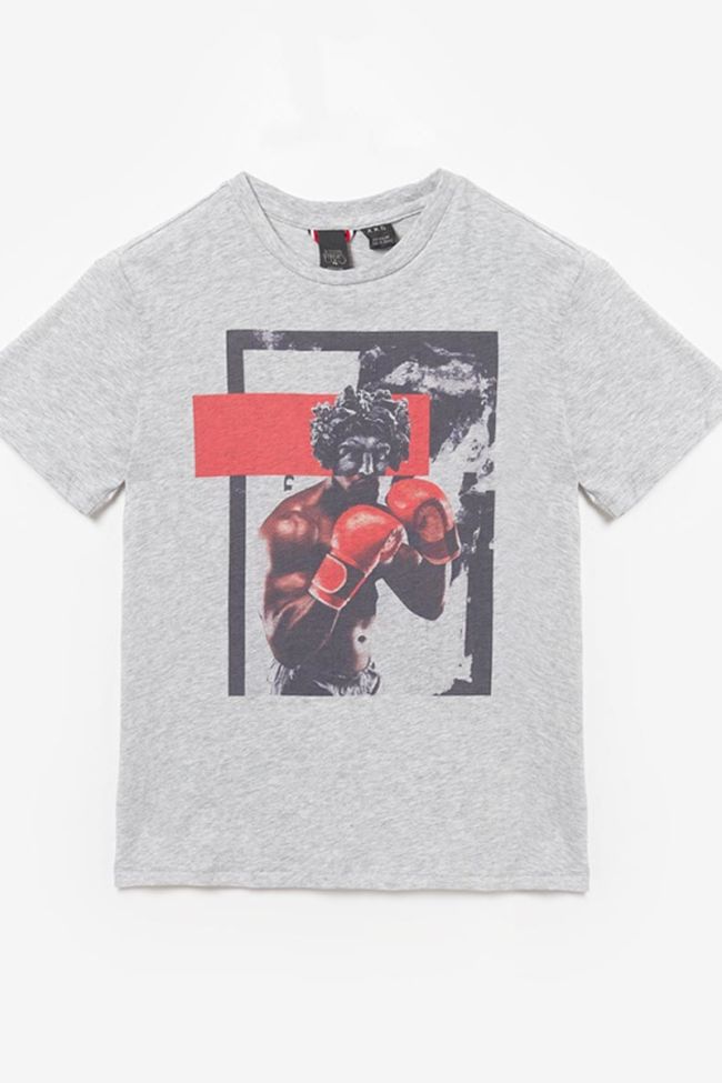 T-shirt Mauibo in grau