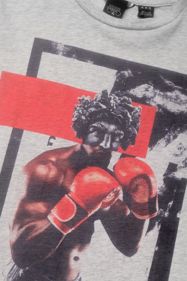 T-shirt Mauibo in grau