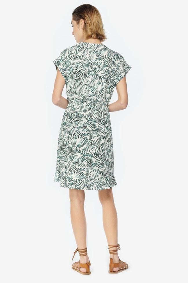 Kleid Pitaya in grün