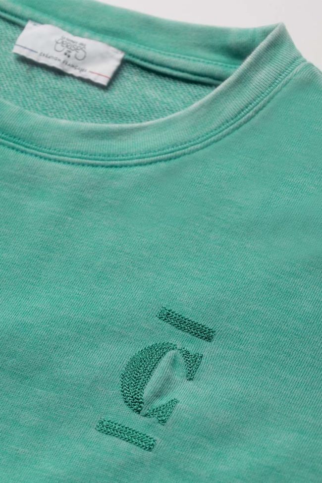 Sweatshirt Jilgi 2 in grün