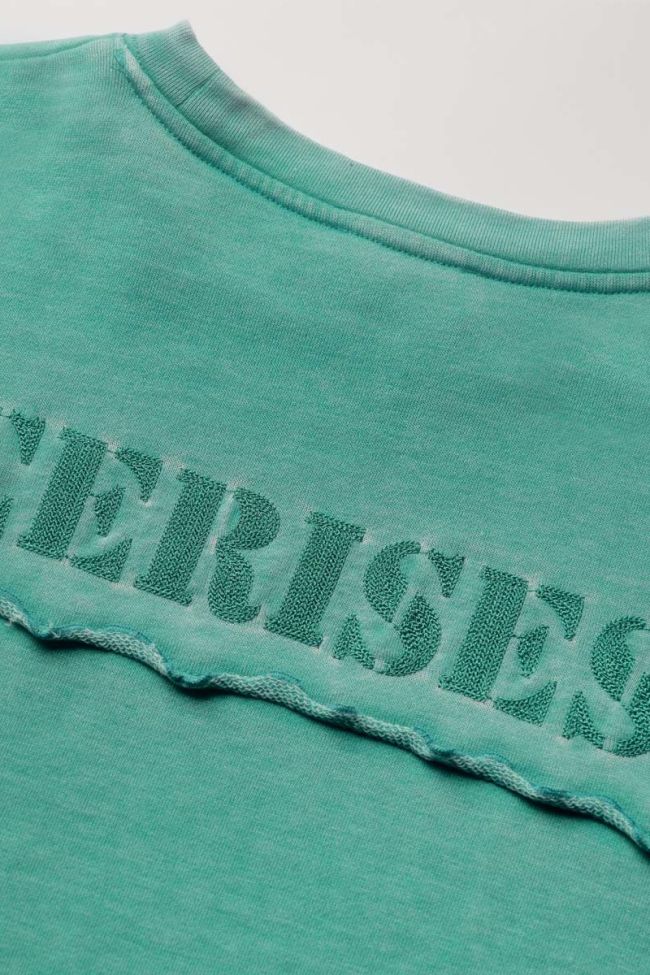 Sweatshirt Jilgi 2 in grün