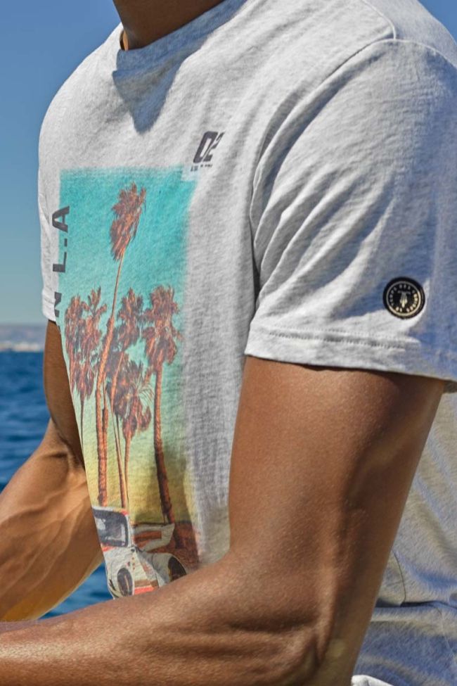 T-shirt Dust in grau