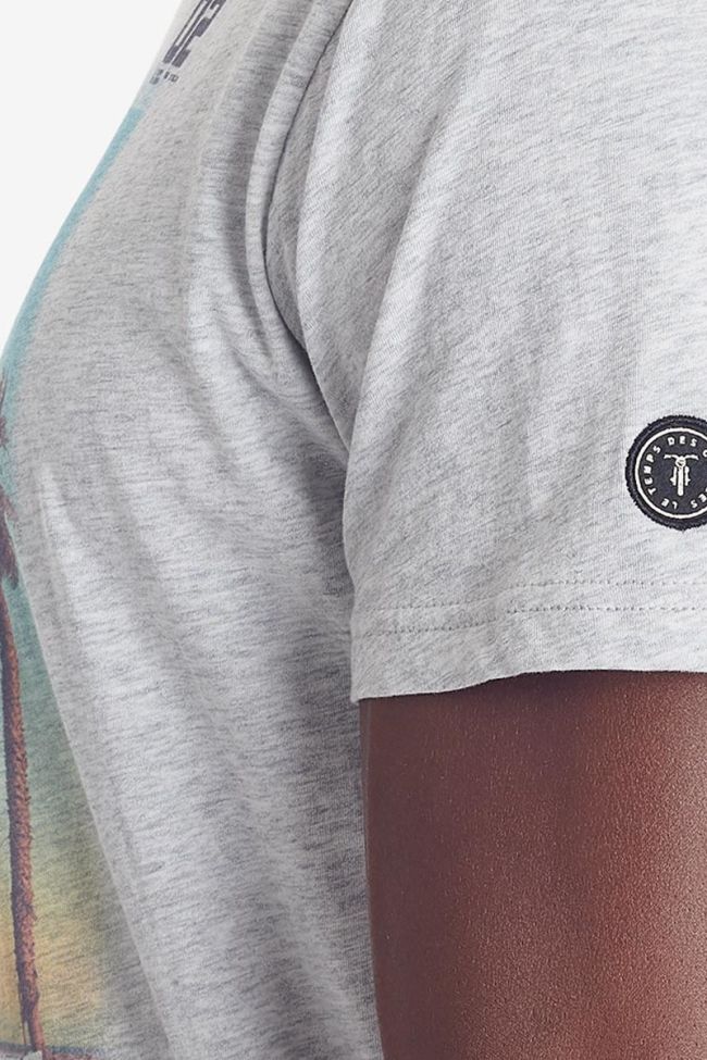 T-shirt Dust in grau