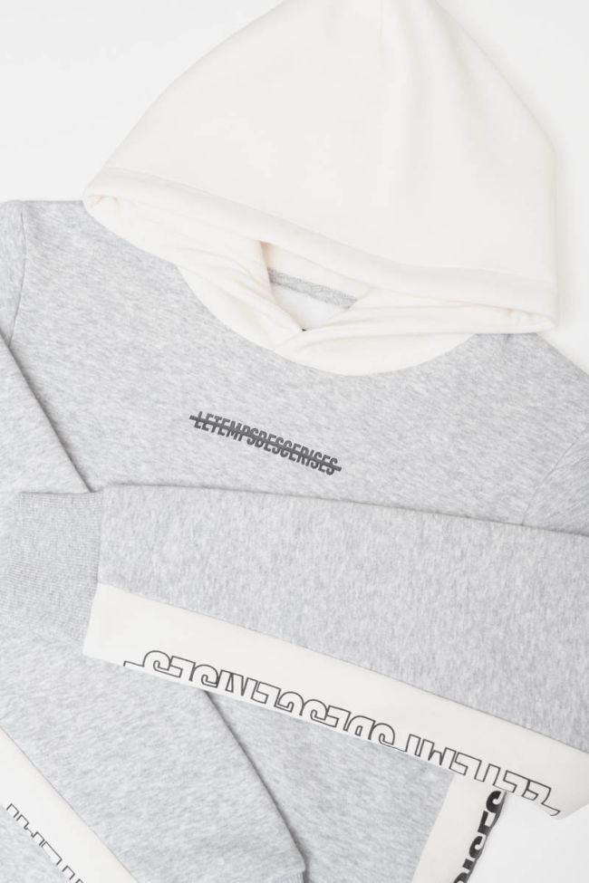 Kapuzen-sweatshirt Colorabo in grau
