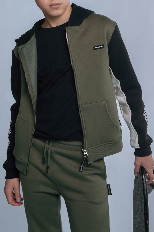 Kapuzen-sweatshirt Landbo in grün