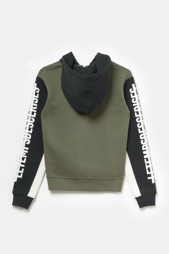 Kapuzen-sweatshirt Landbo in grün