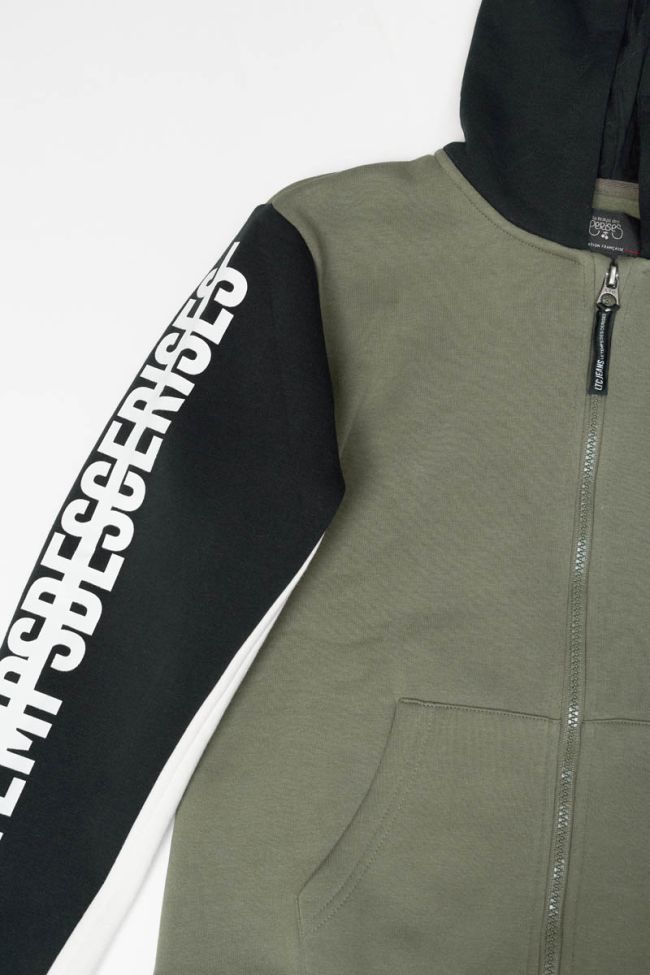 Kapuzen-sweatshirt Landbo in grün