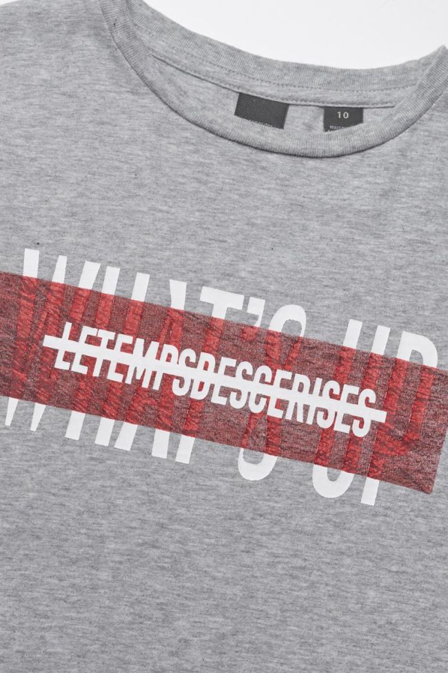 T-shirt Rodeobo in grau