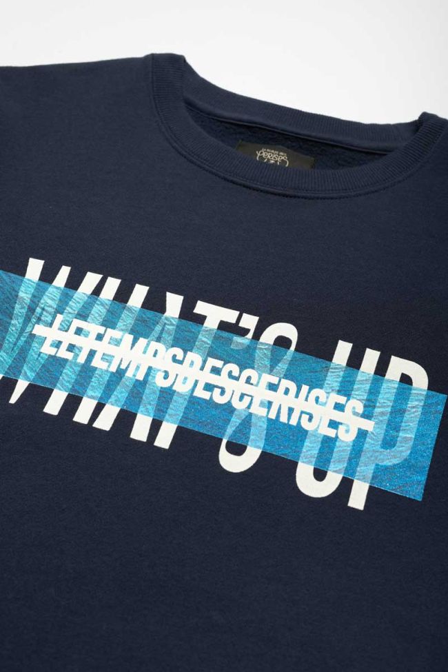 Sweatshirt Torybo in blau