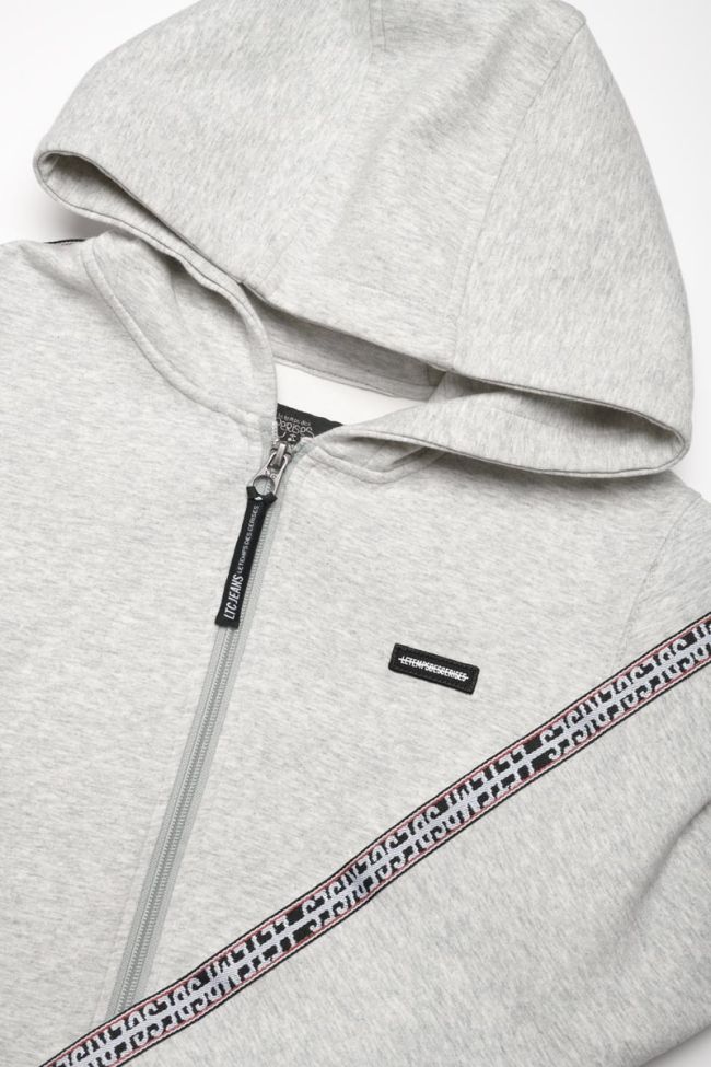 Kapuzen-sweatshirt Marshbo in grau