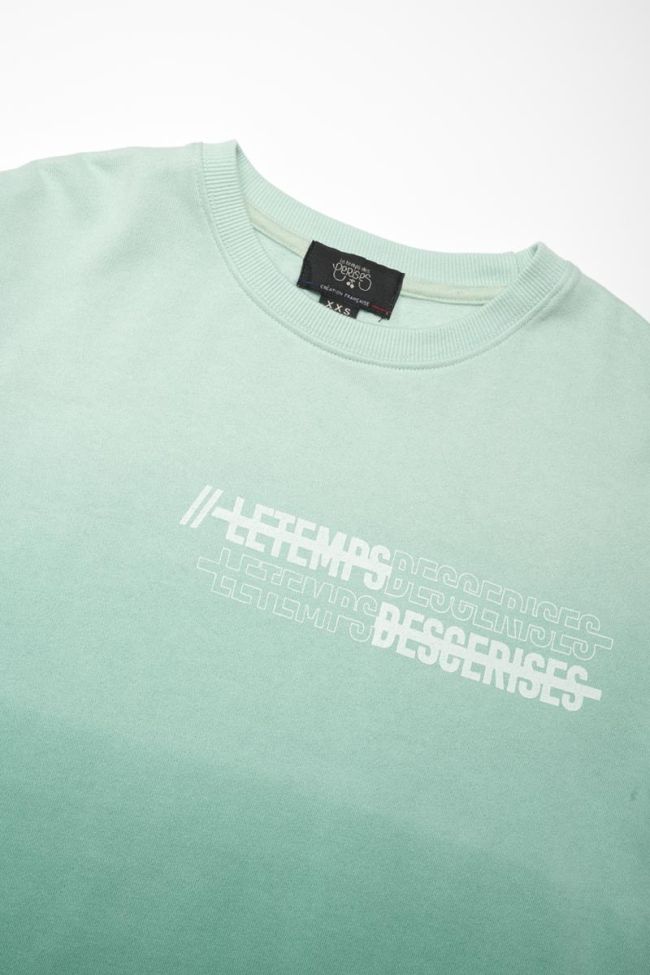 Sweatshirt Venicebo in grün