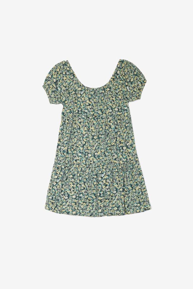 Kleid Almogi in grün