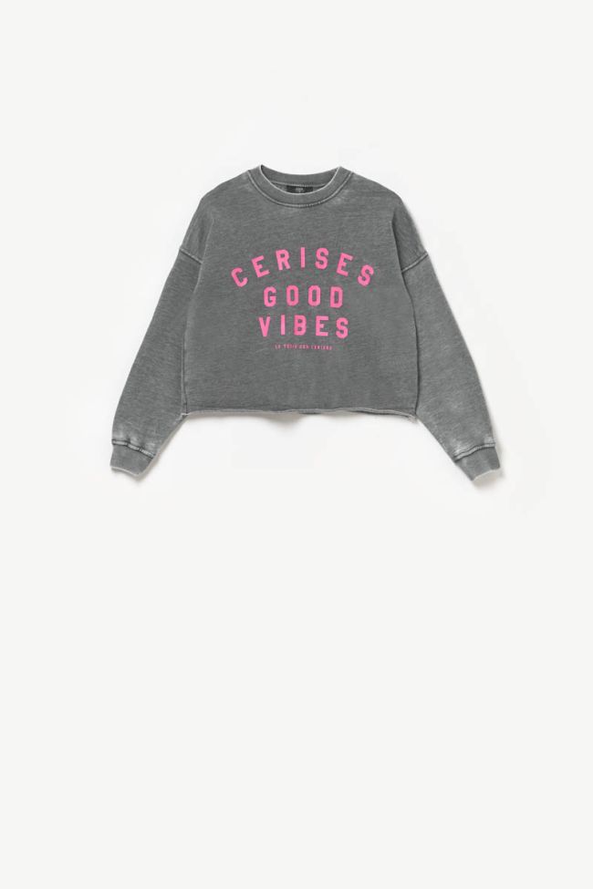 Sweatshirt Marynagi in grau