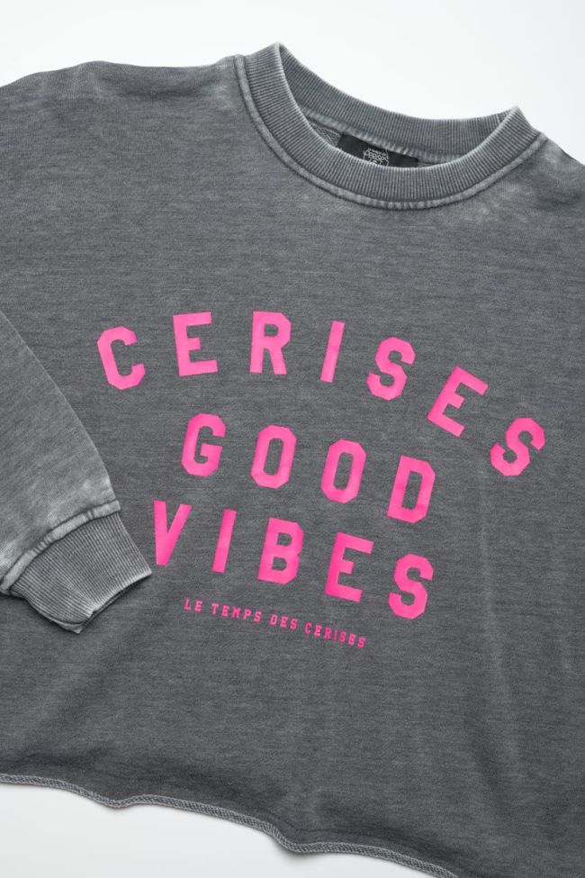 Sweatshirt Marynagi in grau