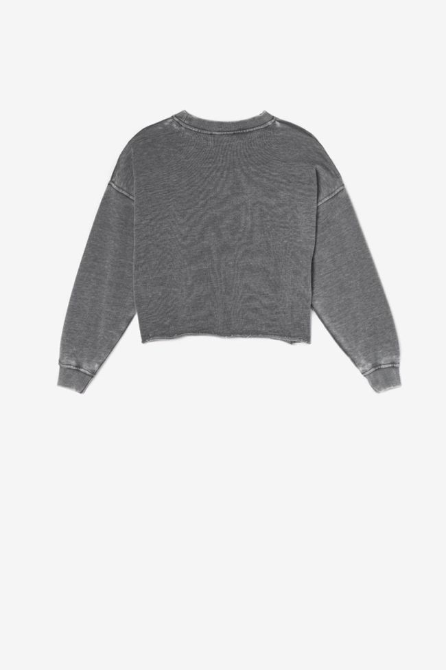 Sweatshirt Marynagi in grau