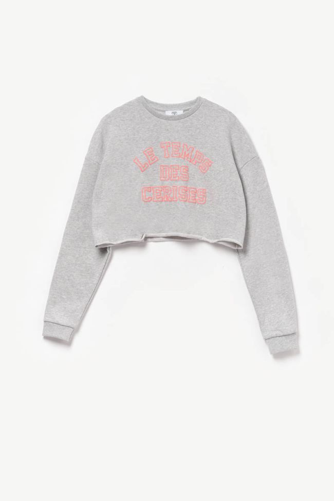 Sweatshirt Neongi in grau