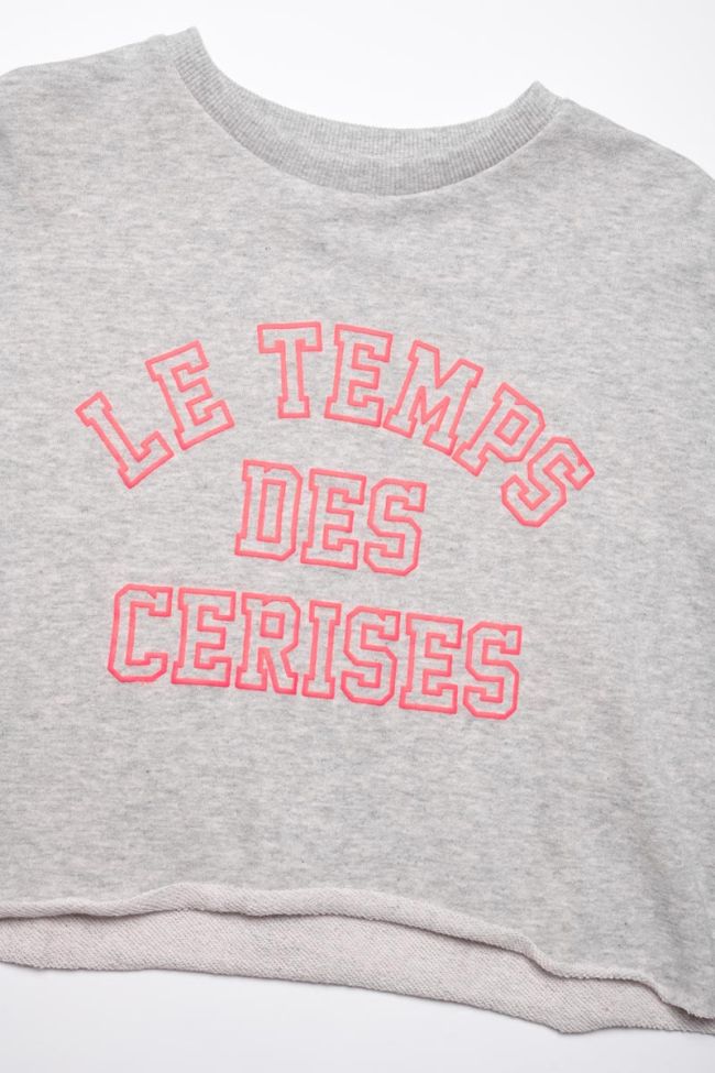 Sweatshirt Neongi in grau