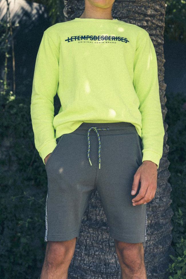 Shorts Ashbo in grün