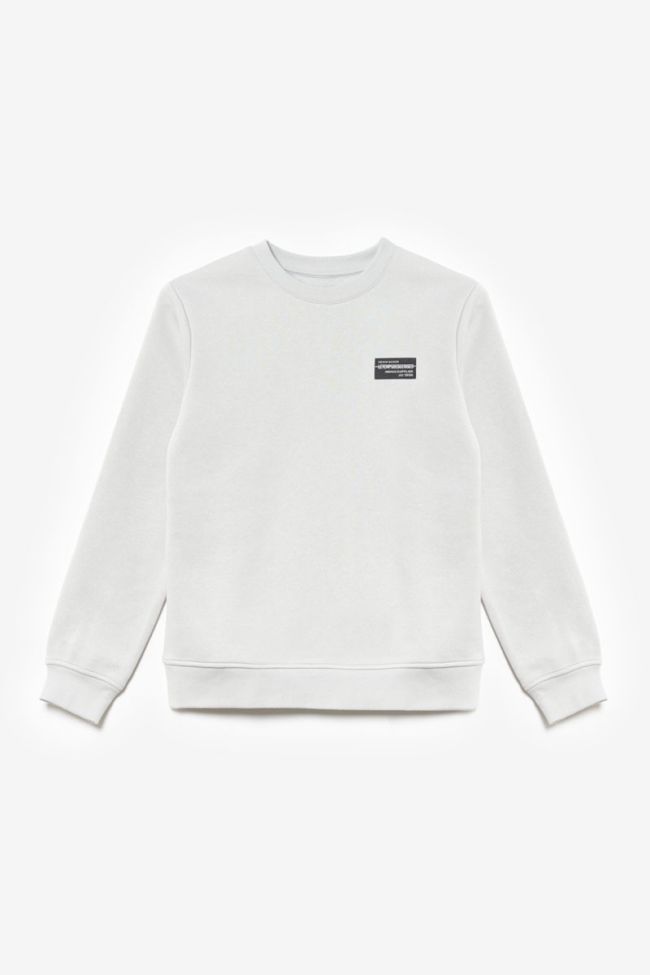 Sweatshirt Galaxbo in grau