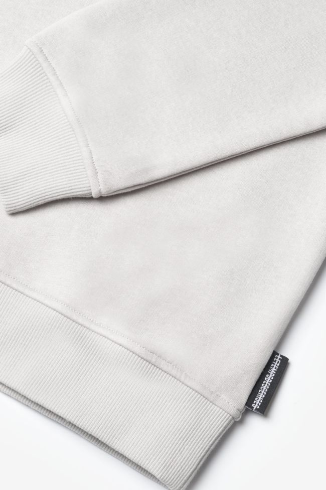 Sweatshirt Galaxbo in grau