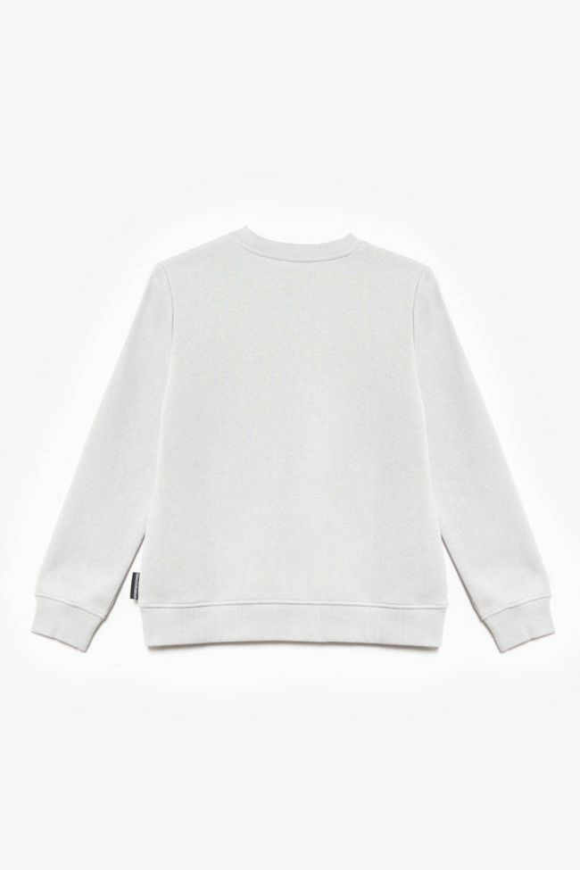 Sweatshirt Galaxbo in grau