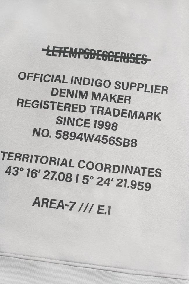 Kapuzen-sweatshirt Tanbo in grau