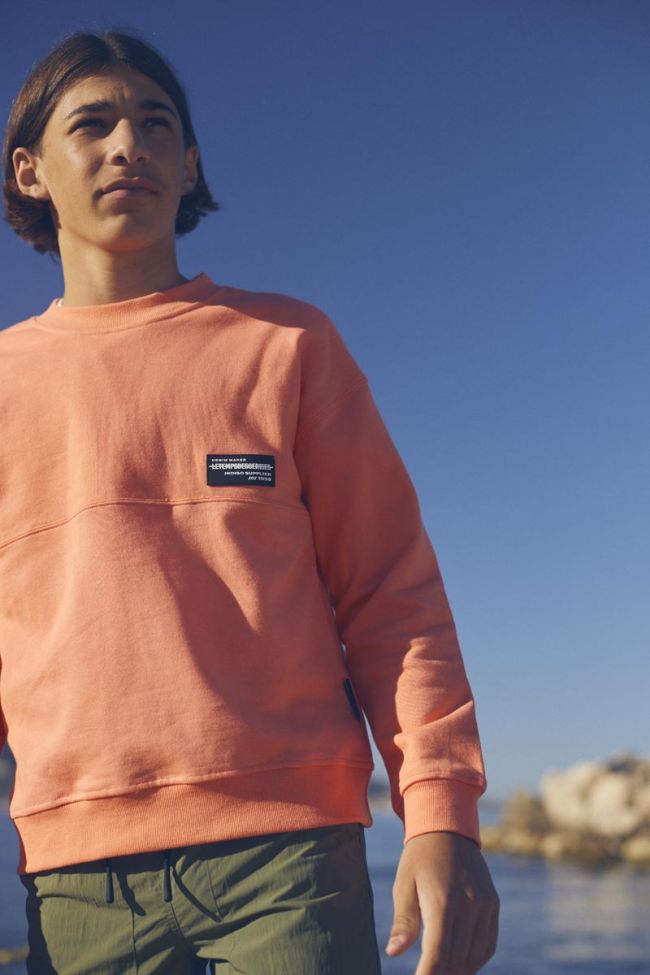 Sweatshirt Hibibo in Koralle