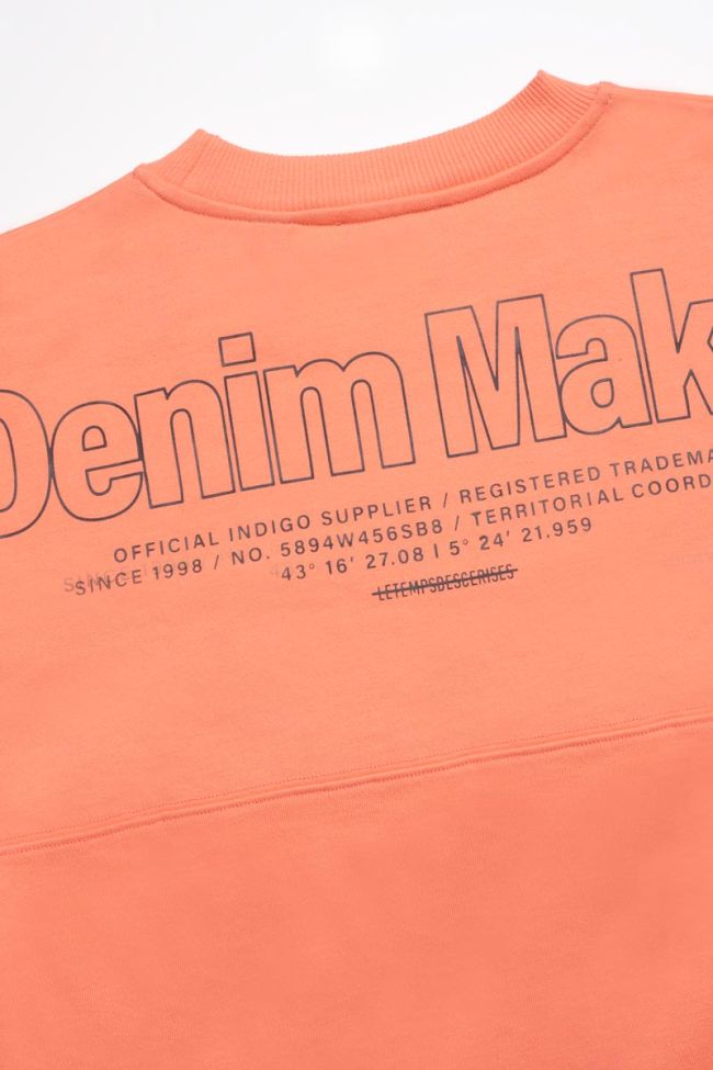 Sweatshirt Hibibo in Koralle