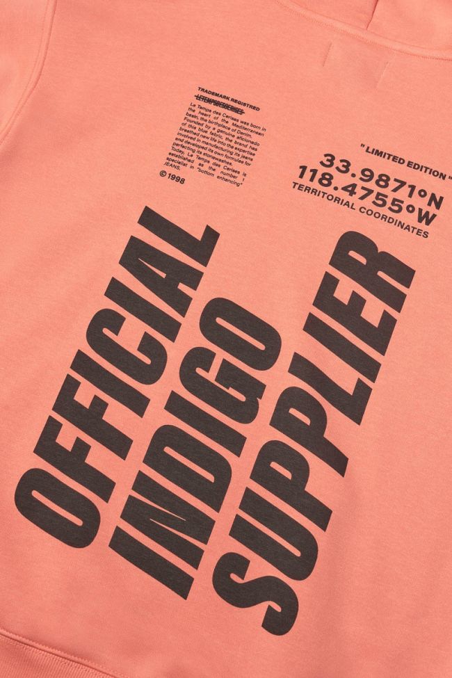 Kapuzenpullover Hisabo in Koralle