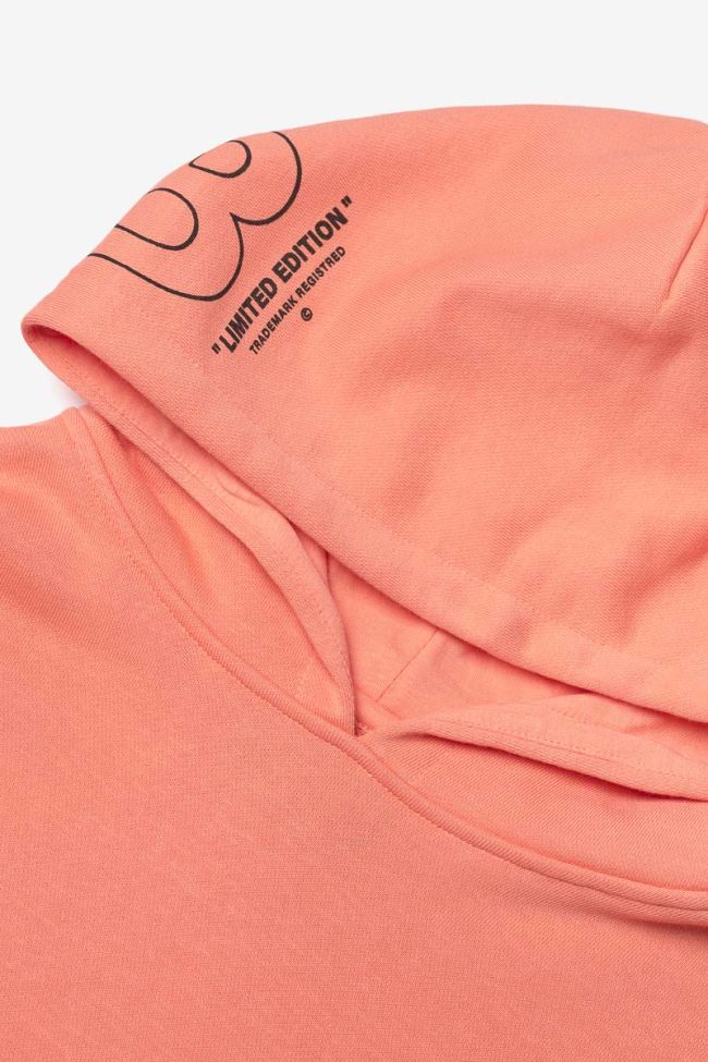 Kapuzenpullover Hisabo in Koralle