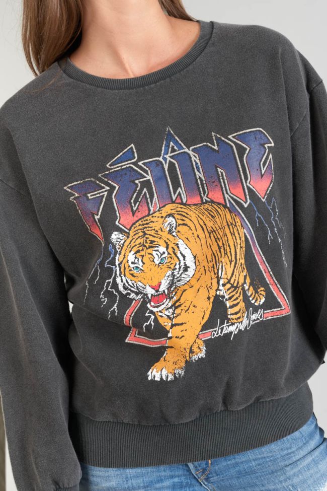 Sweatshirt Nyke in verwaschenem Grau