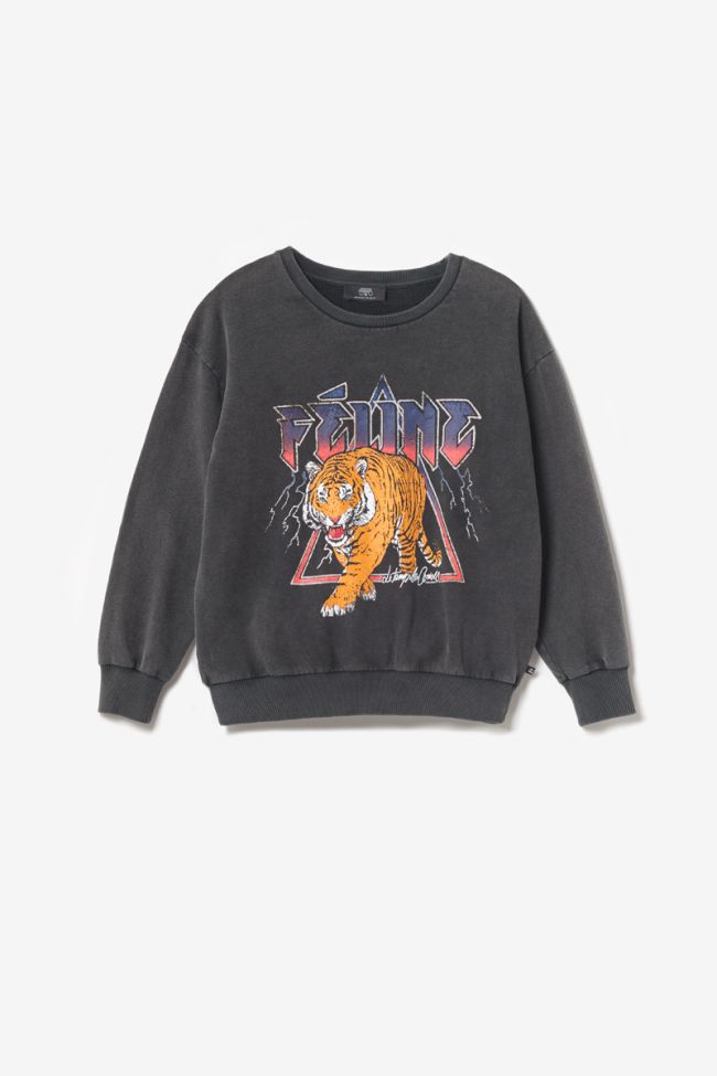 Sweatshirt Nyke in verwaschenem Grau